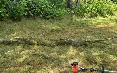Photo of Ethan D.'s yard after getting landscaping in Port Orchard, WA
