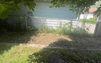 Photo of norvell C.'s yard after getting landscaping in Eastpointe, MI