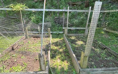 Photo of Donald G.'s yard after getting landscaping in Bethlehem, PA