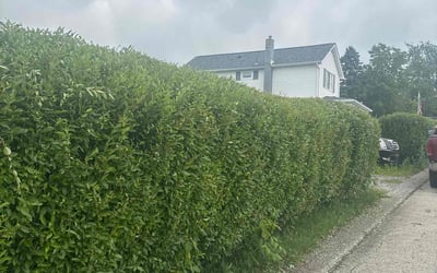Photo of Heather K.'s yard after getting landscaping in Jeannette, PA