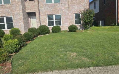 Photo of Tiffany T.'s yard after getting landscaping in Cedar Hill, TX
