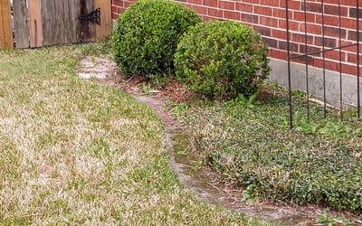 Photo of Carolyn D.'s yard after getting landscaping in Thompsons, TX