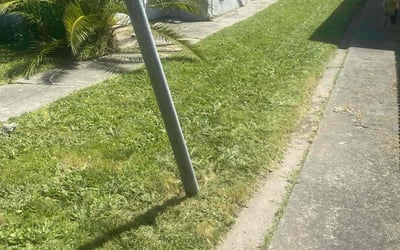 Photo of Pearl W.'s yard after getting landscaping in American Canyon, CA