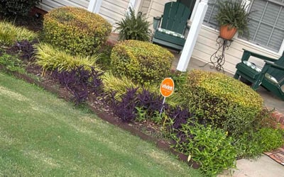 Photo of Jackie W.'s yard after getting landscaping in Clinton, SC