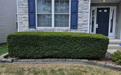 Photo of Aaron S.'s yard after getting landscaping in Unionville Center, OH