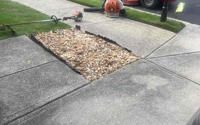 Photo of David M.'s yard after getting landscaping in Mableton, GA