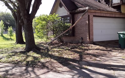 Photo of Beverly H.'s yard after getting landscaping in West Columbia, TX