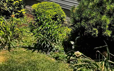 Photo of Michael S.'s yard after getting landscaping in Harrisburg, OH