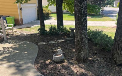 Photo of Madeleine P.'s yard after getting landscaping in Micro, NC