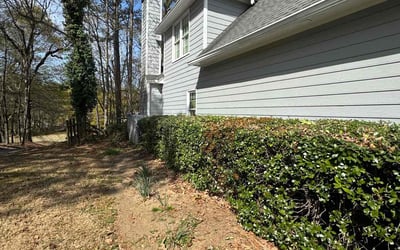 Photo of Karen L.'s yard after getting tree care in Cartersville, GA