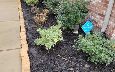 Photo of James H.'s yard after getting tree care in Porter, TX