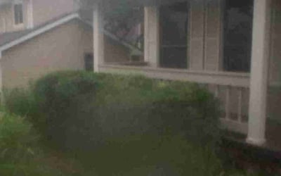 Photo of Linda K.'s yard after getting landscaping in Omaha, NE