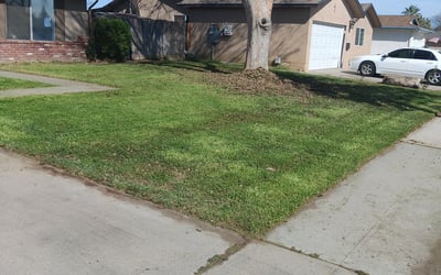 Photo of Brett W.'s yard after getting landscaping in Selma, CA