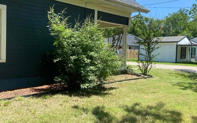 Photo of Desiree B.'s yard after getting tree care in Mesquite, TX