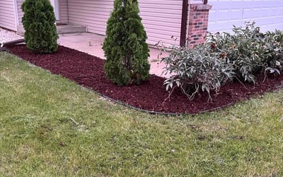 Photo of Patricia N.'s yard after getting landscaping in Champlin, MN