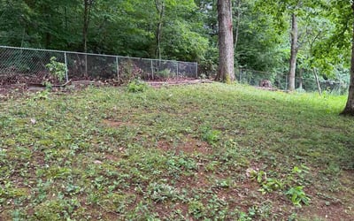 Photo of Christopher M.'s yard after getting landscaping in Knoxville, TN