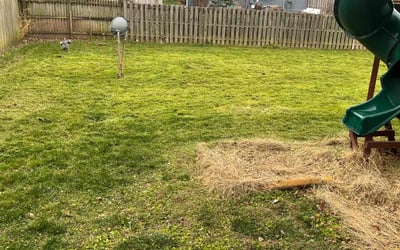 Photo of Elias T.'s yard after getting landscaping in Linwood, KS