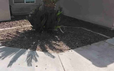 Photo of Jay T.'s yard after getting landscaping in Taft, CA