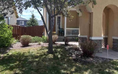 Photo of S Leigh B.'s yard after getting landscaping in Divide, CO