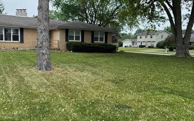 Photo of Sam S.'s yard after getting landscaping in Aurora, IL