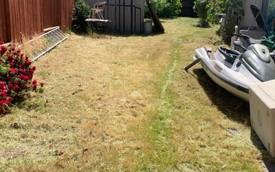 Photo of Katherine A.'s yard after getting landscaping in Kings Beach, CA