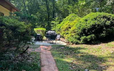 Photo of Tommy z.'s yard after getting tree care in Hampton, GA