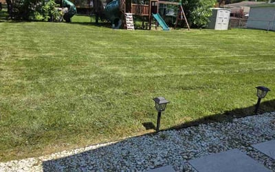 Photo of James K.'s yard after getting lawn care in Schaumburg, IL