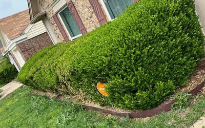 Photo of Jennifer C.'s yard after getting landscaping in Lipan, TX