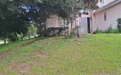 Photo of Merna T.'s yard after getting landscaping in Geneva, FL