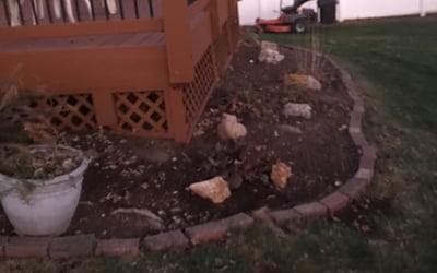 Photo of Michele S.'s yard after getting landscaping in Jackson, MO