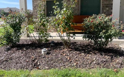 Photo of Matthew M.'s yard after getting landscaping in Princeton, TX