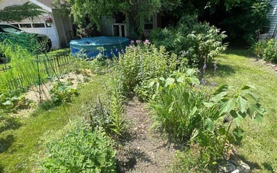 Photo of David O.'s yard after getting landscaping in Minneapolis, MN