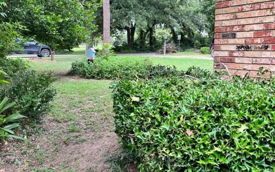 Photo of Linda F.'s yard after getting landscaping in Azle, TX