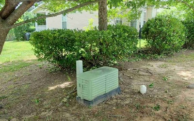 Photo of Jeff D.'s yard after getting landscaping in Cary, NC