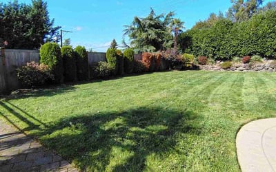 Photo of Dean v.'s yard after getting lawn care in Kent, WA