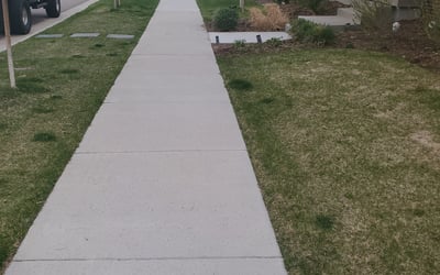Photo of Lisa H.'s yard after getting landscaping in Simla, CO