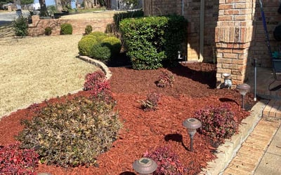 Photo of Rosalyn W.'s yard after getting landscaping in Colleyville, TX