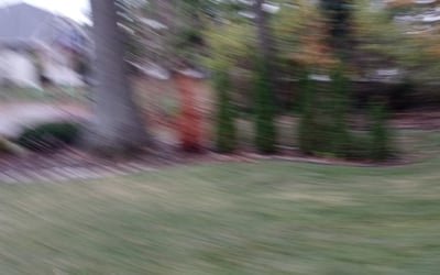 Photo of David S.'s yard after getting landscaping in Oxford, OH