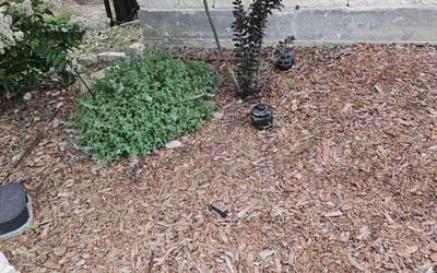 Photo of Cathleen N.'s yard after getting tree care in Springtown, TX