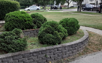 Photo of Richard M.'s yard after getting landscaping in Wauseon, OH