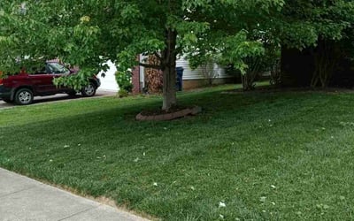Photo of Jordan R.'s yard after getting landscaping in Charlestown, IN