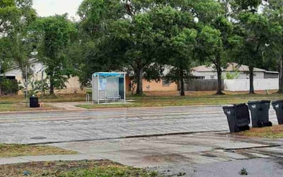 Photo of Greg B.'s yard after getting landscaping in Sydney, FL