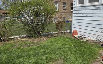 Photo of William T.'s yard after getting landscaping in Berwyn, IL