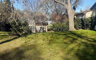 Photo of Suzanne W.'s yard after getting landscaping in Annandale, MN