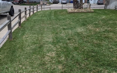 Photo of James D.'s yard after getting landscaping in Morrison, CO