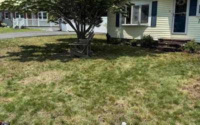Photo of Chris S.'s yard after getting landscaping in Lawrence, MA