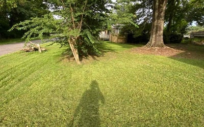 Photo of Cheryl B.'s yard after getting landscaping in Baker, LA