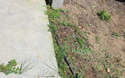 Photo of Jeffrey M.'s yard after getting landscaping in Pollock Pines, CA
