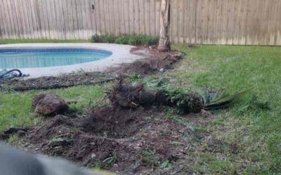 Photo of Kevin S.'s yard after getting landscaping in Ponte Vedra, FL