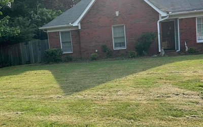 Photo of Robert B.'s yard after getting landscaping in Collierville, TN